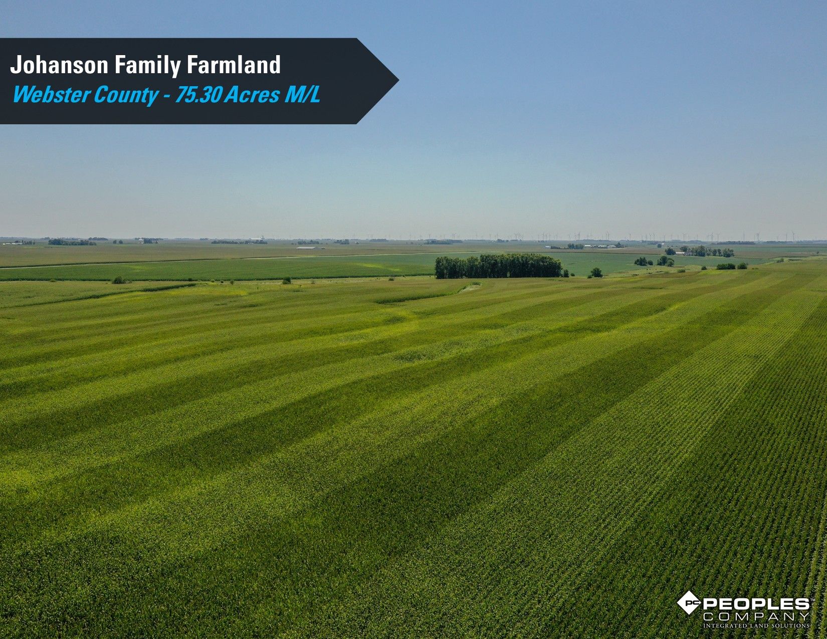 Listing Photo: Webster County Iowa Farmland Available